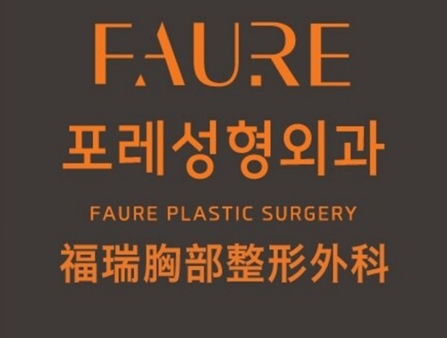 法国sebbin赛彬假体隆胸多少钱？看韩国faure、普罗菲耳、麦恩丰胸手术性价比高