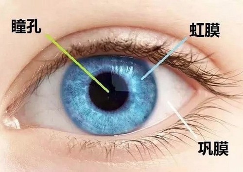 华厦眼科医院后巩膜加固术多少钱？看了这份汇总的眼科收费明细才了解