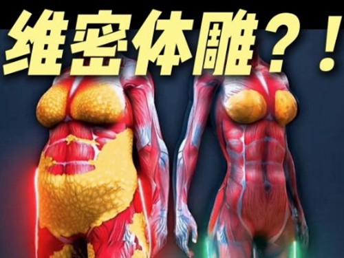 维密脂雕和黄金微雕哪个好？多角度对比发现脂肪堆积选维密&皮肤松弛选黄微