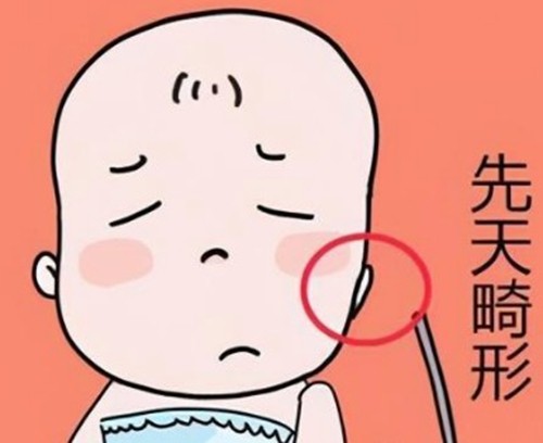 济州岛可以做耳朵整形吗？为什么高难度耳再造更建议去首尔普罗菲耳