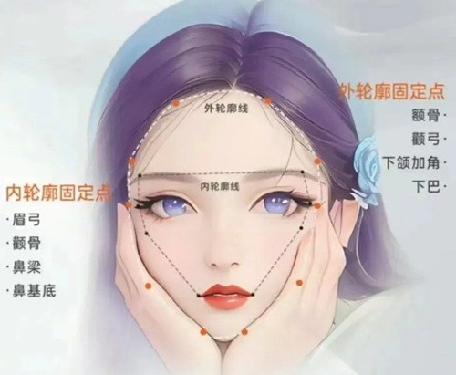 于新国与刘佳东做轮廓固定哪个好？抗衰理念与审美风格深度解析