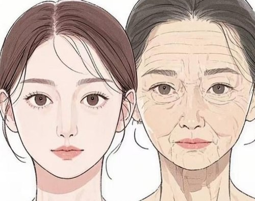 筋膜提升和胶原支架哪个好一点？看懂原理、价格与适用人群选择不踩坑