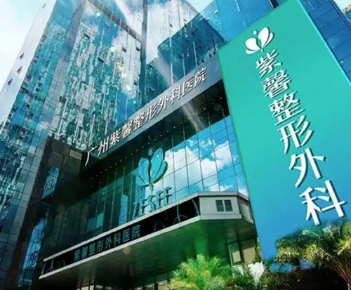 广州紫馨展望医生腹壁整形全解析：技术实力、口碑评价与价格指南