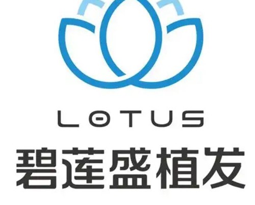 2025北京碧莲盛植发价格表刷新，美人尖、眉毛艺术种植9550元起