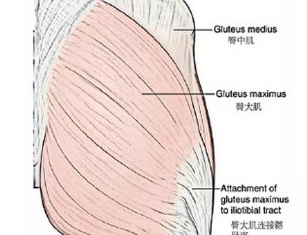 深圳假体丰臀医院哪家好？福雅/微姿/曹孟君整形是深圳假体丰臀好的三个医院
