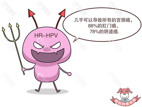 HPV病毒几乎可以导致所有的宫颈癌