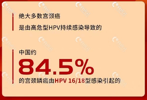 84.5%的宫颈癌是由两种高危HPV持续感染导致