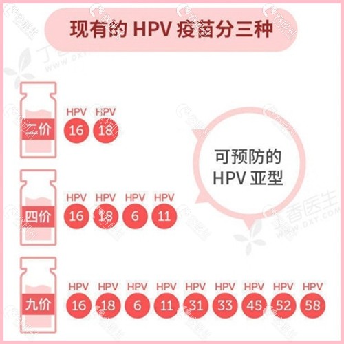 现有的HPV疫苗分类：二价、四价、九价