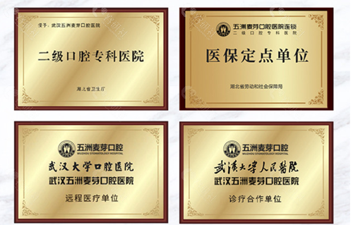 汉五洲麦芽口腔医院荣获的一些荣誉