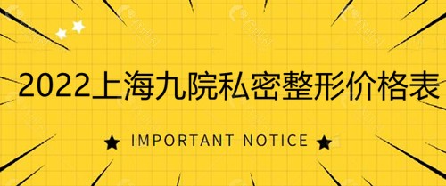 2022私密整形价格表
