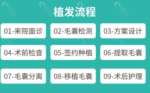广州新生植发流程图