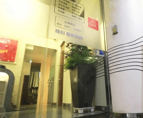 韩国雕刻整形外科医院骨水泥填充怎么样