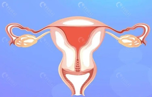 国内能做3d生物束带紧缩术的医院有哪些？