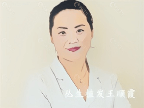 丛生植发医生王顺霞