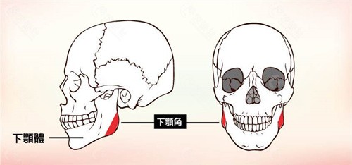 华山穆雄铮磨骨的号好挂不？