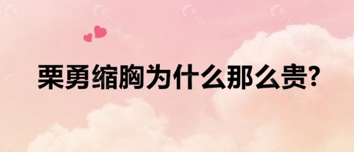 栗勇缩胸为什么那么贵？