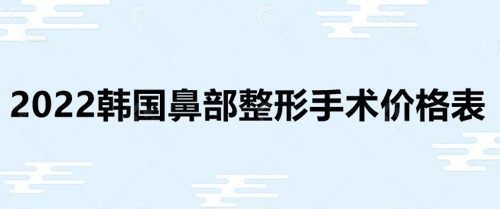 2022韩国鼻部整形手术价格表  