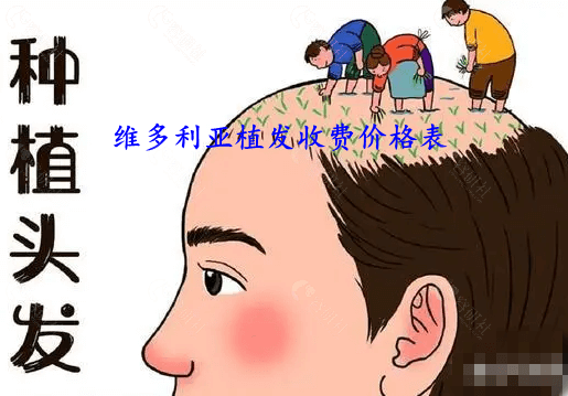 维多利亚植发收费价格表