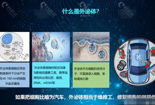 外泌体是什么？