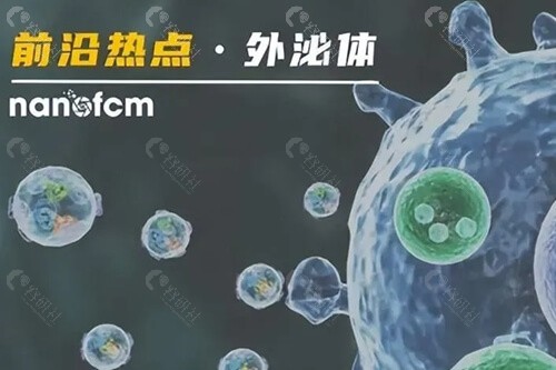 外泌体治脱发有用吗？