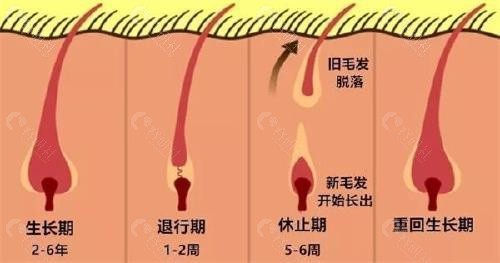 古方生发液生发求美者反馈怎么样，是不是骗局？