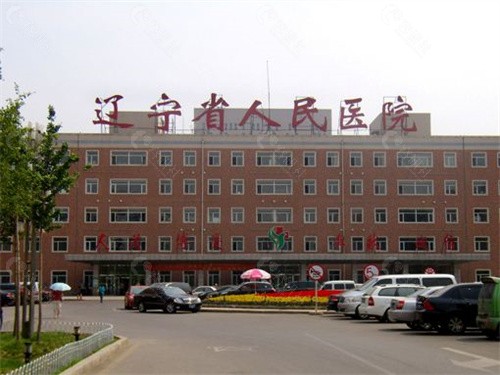 辽宁省人民医院整形科哪位医生技术好？