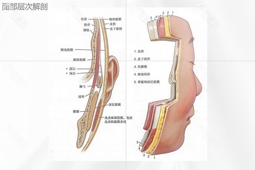 北京加减美面部提升求美者反馈咋样？