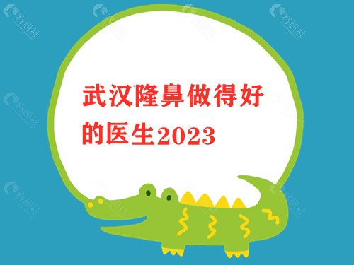 2023武汉隆鼻做得好的医生