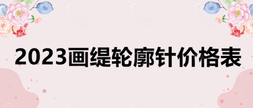 2023画缇轮廓针价格表