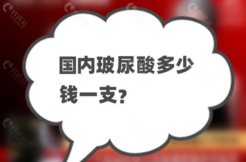 国内玻尿酸多少钱一支