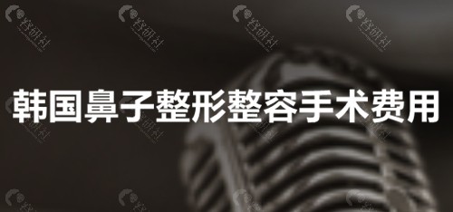 2023韩国鼻子整形整容手术费用