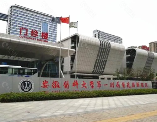 2023安徽医科大学第一附属医院眼科价格表