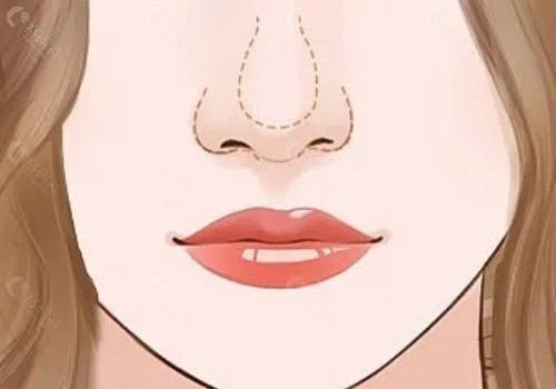 卡通美女鼻子图片
