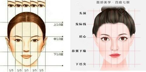 三庭五眼脸型设计标准