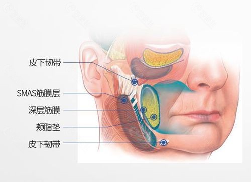 韩国梦想整形外科医院拉皮手术