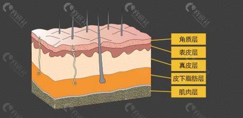 韩国必当归医院拉皮手术层次