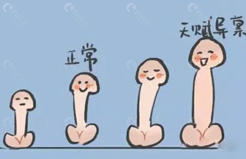 阴茎做玻尿酸和做延长术哪个合适