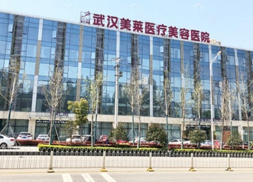 武汉美莱整形医院做鼻子价格