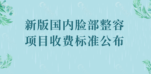 新版国内脸部整容项目收费标准公布