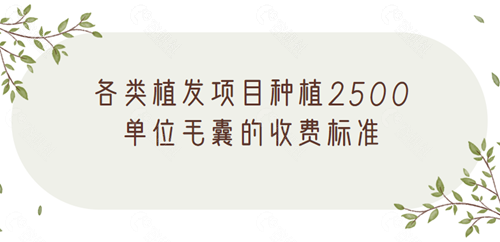 各类植发项目种植2500单位毛囊的收费标准