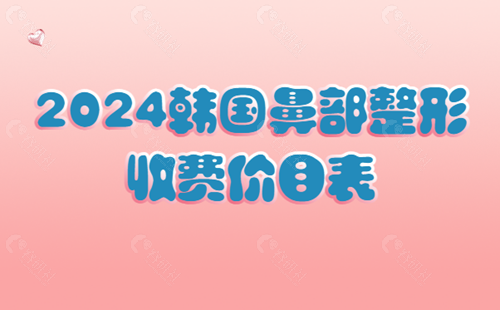 2024韩国鼻部整形收费价目表