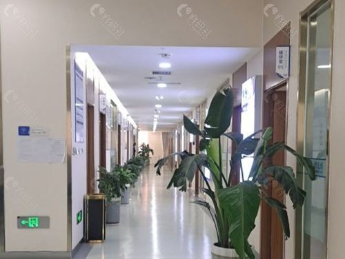 乌鲁木齐碧莲盛植发环境图