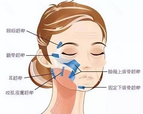 武汉雷建波筋膜提升优势介绍