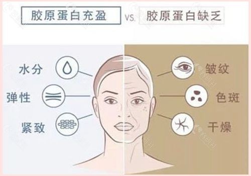 韩国胶原蛋白多少钱一支？