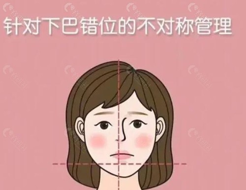 刘曙光跟周会喜哪个好？