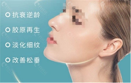 韩国7d聚拉提多少钱