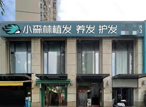 2024赣州小森林植发价格表