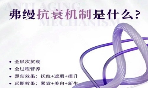 弗缦参考图