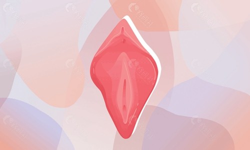 私密整形样图