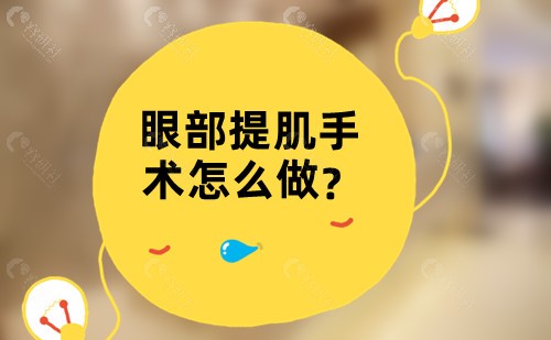 眼部提肌手术怎么做？